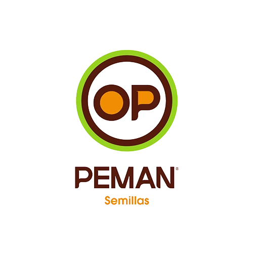 Peman