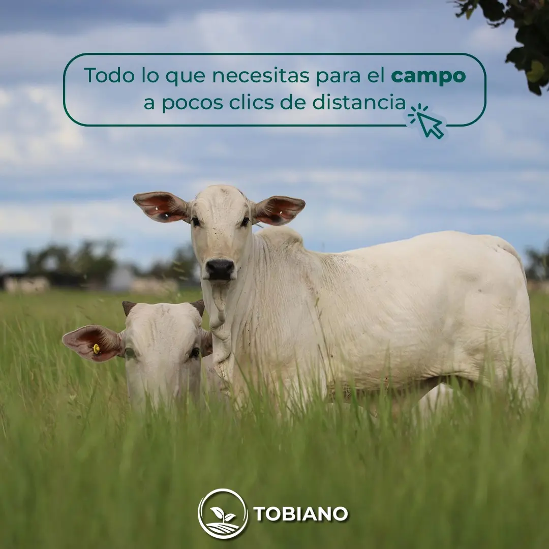 todo-lo-que-necesitas-para-el-campo